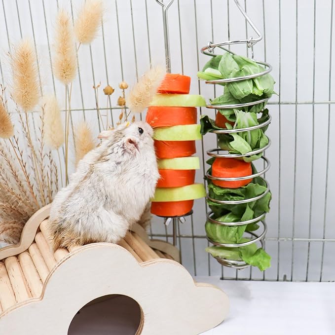 2 Pack Rat Feeding Accessories for Cage, Stainless Steel Fruit Fork and Spiral Vegetable Holder, Cage Accessories for Mouse, Hamster, Chinchilla, Rabbit and Other Small Animals