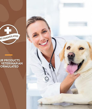 NaturVet All-in-One Dog Supplement - for Joint Support, Digestion, Skin, Coat Care – Dog Multivitamins with Minerals, Omega-3, 6, 9 – Wheat-Free Vitamins for Dogs – 120 Soft Chews