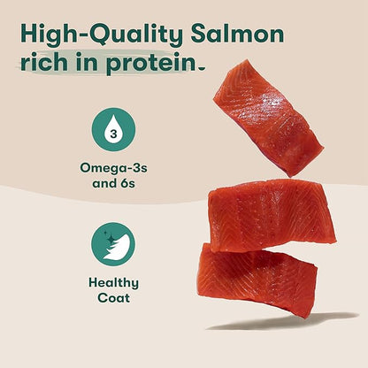 Jinx Premium Wet Dog Food Cans, Variety Pack - Salmon & Chicken Pate - Grain-Free Canned Dog Food Pate & Topper with Real Ingredients & No Fillers - All Life Stages, Breeds & Sizes - 12-Pack, 13 Oz