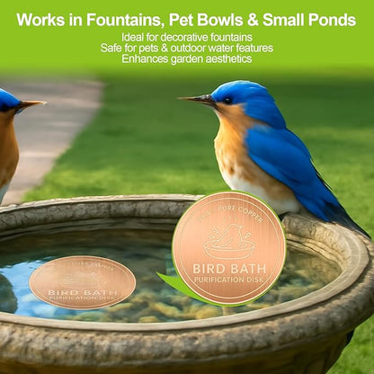 Copper Bird Bath Purification Disk,0.6mm Reinforced 99.9% Pure Copper Cleaning Disk Keeps Water Fresh for Bird Baths, Fountains, Ponds (1 Pack)