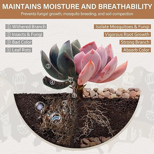 NUPICK 12 lbs Pebbles for Indoor Plants, 3/8 Inch Pea Gravel for Fish Tank, Decorative Rocks for Succulent, Natural River Stones for Vases, Cactus, Landscaping, Bird Bath, Aquarium, Peach