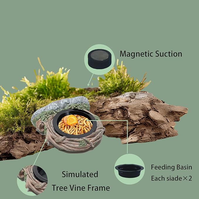 Reptile Feeding Ledge with 2 Cups, Hollow Vine Food Dish & Water Bowl for Bearded Dragon, Gecko, Lizard & Snake – Reptile Tank Accessories for Terrariums