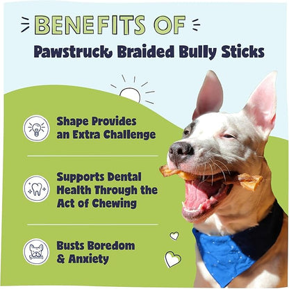 Pawstruck Natural 5” Braided Bully Sticks for Dogs, Tough Long-Lasting, Rawhide-Free, Low Odor, Healthy Single Ingredient Chew Treat for Aggressive Chewers, 10 Count, Packaging May Vary