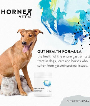 ThorneVET Gut Health Formula – Gastrointestinal Support for Dogs, Cats & Horses, 180 Scoops