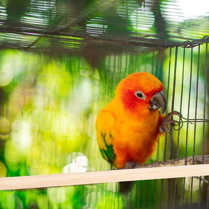 Wood Bird Perch Stand 5pcs Parrot Cage Stick Standing Sticks Climbing Branch Rod Bird Cage Grinding Toy for Cockatiels Parakeet （10+15+20+25+30 CM）