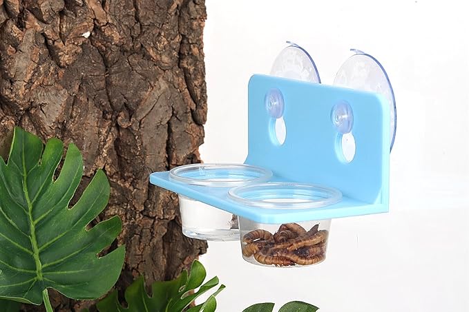 Crested Gecko Feeding Ledge with 10PCS Gecko Food Water Dish - Blue