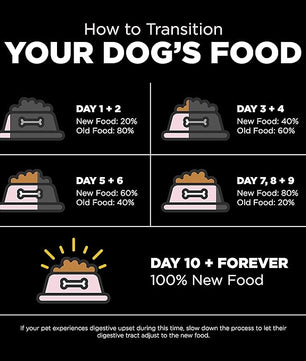 Go! Solutions Sensitivities Limited Ingredients, Grain-Free Dry Dog Food, Small Bites Salmon Recipe for Sensitive Stomach, 22 lb Bag