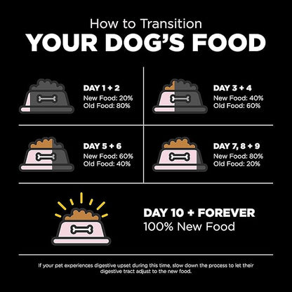 Go! Solutions Sensitivities Limited Ingredients, Grain-Free Dry Dog Food, Small Bites Salmon Recipe for Sensitive Stomach, 22 lb Bag