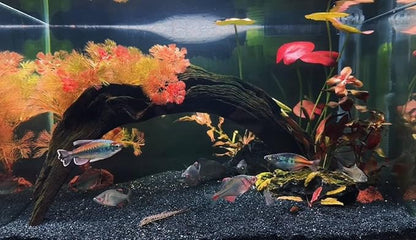 Aquarium Sand, 10lbs Black Fish Tank Sand, Aquarium Gravel Substrate for Aquascaping, Vivariums, Terrariums, Plants and Crafts