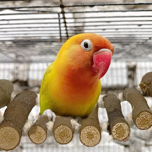 SIMENA Bird Cage Ladder, Parrot Bridge Made of Natural Wood and Rope, Interactive Bird Toy for Small and Medium Sized Birds and Parrots, Parakeets, Cockatiels, Amazon Parrots, Conures etc.