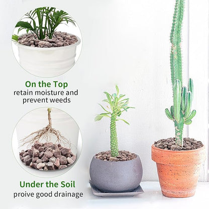 10 lbs Pebbles for Plants, 3/8 Inch Pea Gravel Stones Decorative Red River Rocks for Succulent, Cactus, Landscaping, Vases, Terrarium, Aquarium, Potted Top Dressing and Outdoor Garden