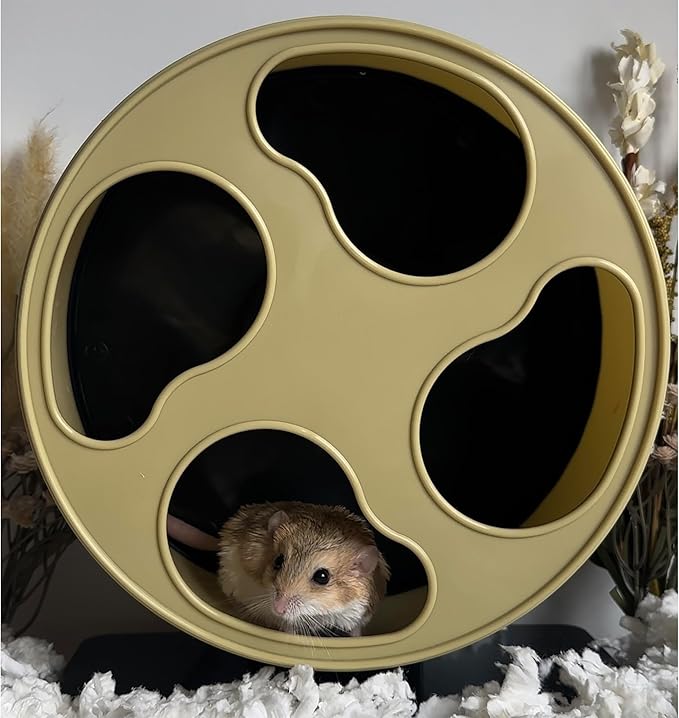 Silent Runner Wheel - 9" Regular - Exercise Wheel (Cream)