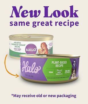 Halo Holistic Vegan Wet Dog Food, Plant-Based Recipe, Canned Dog Food, Complete Digestive Health, Adult Dogs, 5.5 Oz Can (Pack of 12)