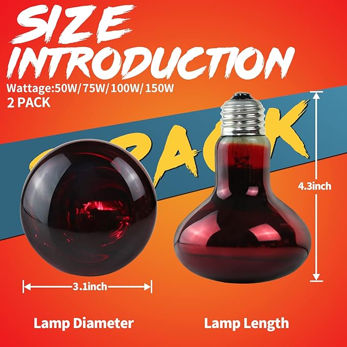 LUCKY HERP 75W Reptile Heat Lamp Bulbs 2 Pack, Reptiles & Amphibians Infrared Basking Spot Lamp, Heat Light Bulb for Turtle, Bearded Dragon, Lizard