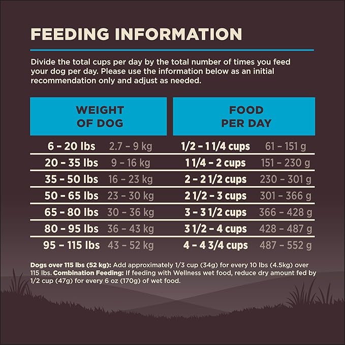 Wellness CORE Grain-Free High-Protein Dry Dog Food, Natural Ingredients, Made in USA with Real Meat, All Breeds, For Adult Dogs (Ocean Whitefish, Herring & Salmon, 26-Pound Bag)