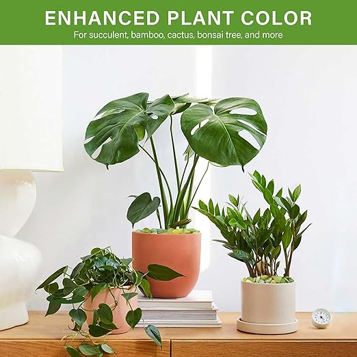 NUPICK 3 lbs Pebbles for Indoor Plants, 3/8 Inch Pea Gravel for Fish Tank, Polished Decorative Rocks for Succulent, Natural River Stones for Vases, Cactus, Landscaping, Bird Bath, Aquarium, Jade