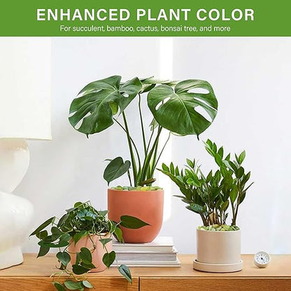 NUPICK 3 lbs Pebbles for Indoor Plants, 3/8 Inch Pea Gravel for Fish Tank, Polished Decorative Rocks for Succulent, Natural River Stones for Vases, Cactus, Landscaping, Bird Bath, Aquarium, Jade