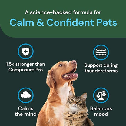 VetriScience Max Veterinary Strength Calm & Confident Chews - Stress Supplement for Pets - Supports Brain Function for Cats & Dogs - with Lemon Balm Extract, L-Theanine, Thiamine & More - 45 Count