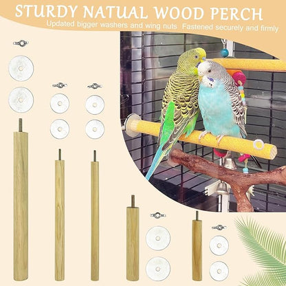 S&X Bird Perch, 5 PCS of Natural Wood Perches with Different Widths and Lengths for Budgies, Parakeets, Canaries, Cockatiels, Conures, Finches & Other Small Birds