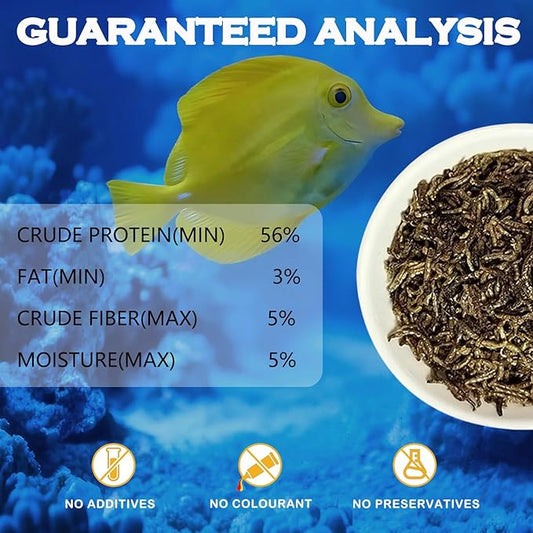 Freeze Dried Blood Worms Fish Food - High Protein Natural Aquatic Food for Tropical & Saltwater Fish, Betta, Goldfish, Cichlid, Guppy - Enhances Color & Growth 3.5 oz