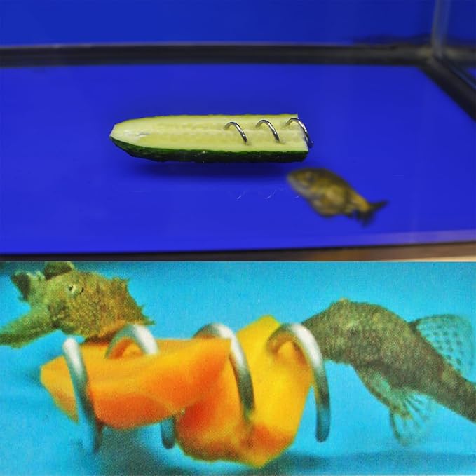 Fish Tank Aquarium Vegetable Feeder, Bottom Sinking Loach Feeder, Aquarium Vegetarian Feeder, Malawi Cichlid Snail Fresh Food Holder for Bottom Feeders 1 Pack