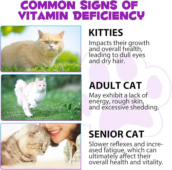 Cat Multivitamin, 15 in 1 Cat Multivitamin Liquid Drops, Cats Vitamins and Supplements with Glucosamine and Probiotics, Bones, Joint, Skin & Coat, Bladder, Immune System Support, 60ML