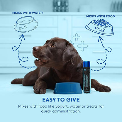 ReadyRESCUE - Dog First Aid Kit Essential - Activated Charcoal Detox for Dogs, Cats, Pets - Animal First Aid Kit - Dog Medical Emergency Kit - Dog Travel Essentials - 30g (1 Vial of 30g)