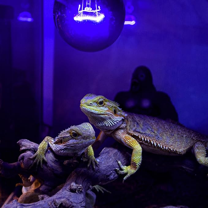 REPTI ZOO 2PCS Reptile Night Heat Lamp, 50W Moonlight Heat Bulb Infrared Heating Light Purple Reptile Heat Lamp Night Bulb for Bearded Dragon, Lizard, Snake, Turtle