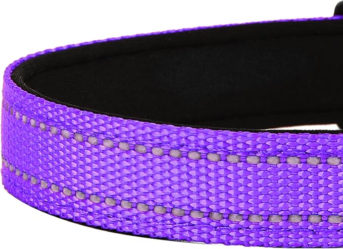 Reflective Dog Collar, Adjustable Soft Neoprene Padded Nylon Pet Collars with Buckle for Medium Dogs, Purple,M