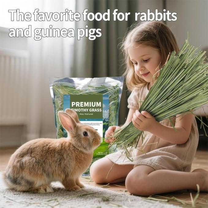 Oven-Baked Timothy Hay for Guinea Pigs, Rabbits & Chinchillas, All Natural High Fiber Food for Digestive Health, 1.1 LB
