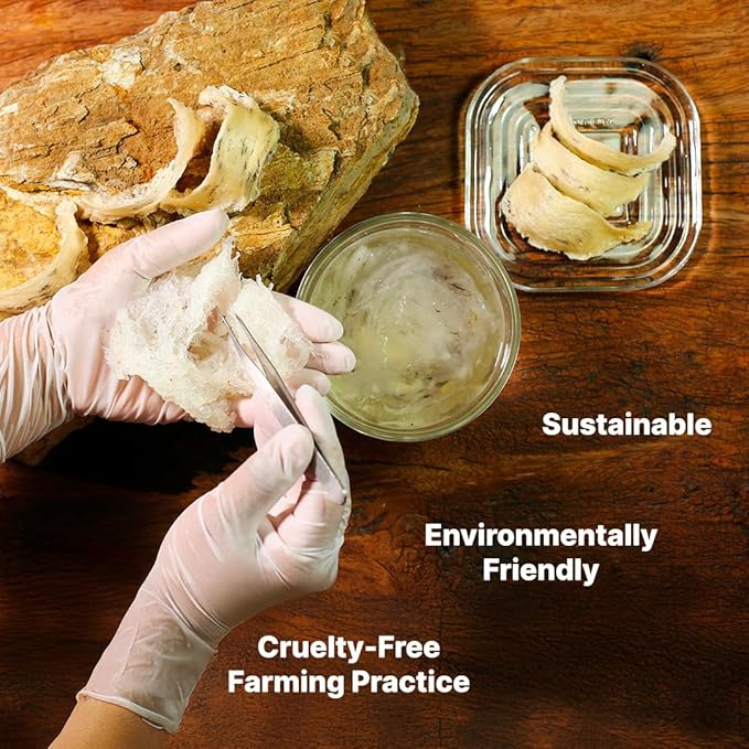 Golden Nest Premium Bird Nest Soup, Swallow Bird Nest 100% Natural - Made in USA, (燕窩) 6 bottles x 75ml (2.5 oz.) (1 box = 6 bottles x 75ml, Ginseng)