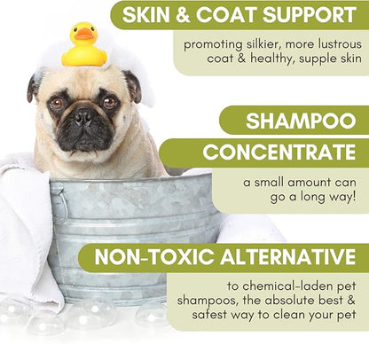 Wholistic Pet Organics Pet Shampoo Concentrate: Heavenly Herbal Organic Dog Shampoo and Conditioner - All Natural Puppy and Cat Shampoo for Dry, Itchy Skin, Allergies, Dandruff