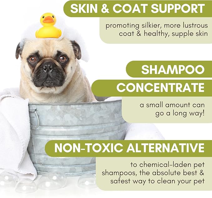 Wholistic Pet Organics Pet Shampoo Concentrate: Heavenly Herbal Organic Dog Shampoo and Conditioner - All Natural Puppy and Cat Shampoo for Dry, Itchy Skin, Allergies, Dandruff - Flea Shampoo - 16 Oz