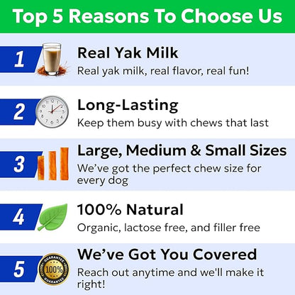 BARK&SPARK Yak Cheese Himalayan Dog Chews - 100% Natural & Long Lasting Dog Treats, Yak Milk Chews for Small, Medium & Large Dogs, Lactose & Gluten Free Dental Sticks, Healthy & Safe (4 Large Chews)