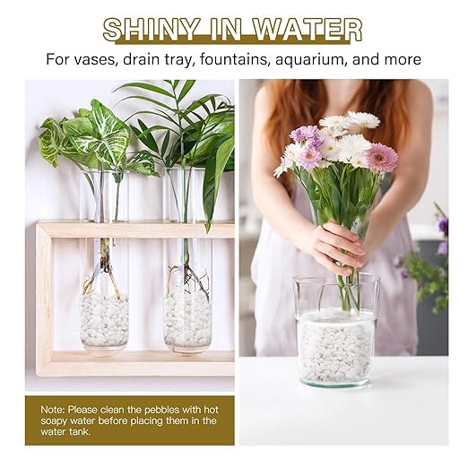 NUPICK 6 lbs Pebbles for Indoor Plants, 3/8 Inch Pea Gravel for Fish Tank, Polished Decorative Rocks for Succulent, Natural River Stones for Vases, Cactus, Landscaping, Bird Bath, Aquarium, White