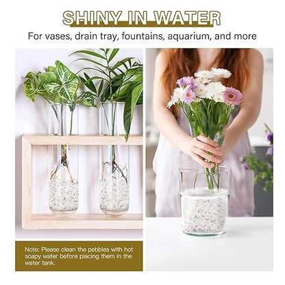 NUPICK 6 lbs Pebbles for Indoor Plants, 3/8 Inch Pea Gravel for Fish Tank, Polished Decorative Rocks for Succulent, Natural River Stones for Vases, Cactus, Landscaping, Bird Bath, Aquarium, White