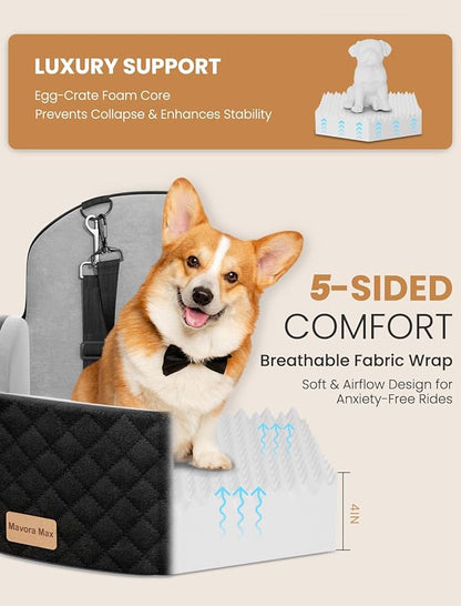 (Up to 35lbs Small/Medium Dog Car Seat Booster Dog Seat for Car Portable with Adjustable Seatbelts Puppy Travel Carrier for SUV,Truck, with Memory Foam Cushion (Black/Grey)