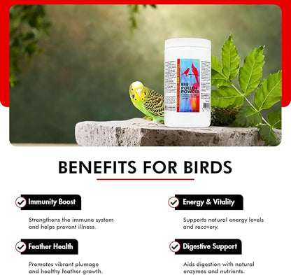 Morning Bird Bee Pollen Powder for Birds 16 Oz – Complete Nutrition with Protein, Amino Acids & Immune Support – Bird Vitamin & Mineral Supplement for Daily Health & Wellness