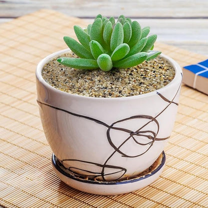 20 lbs Aquarium Sand, 0.6-1.2 mm Aquarium Substrate for Freshwater Fish Tank. Decorative River Rocks Gravel for Fish Tank, Plants Potted, Fire Pits, Candle, Vase and Crafts