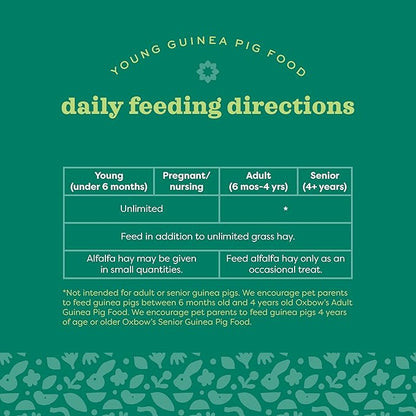 Oxbow Essentials Young Guinea Pig Food, Guinea Pig Pellets Made with Timothy Hay, Stabilized Vitamin C, Small Animal Pet Products, Small Animal Food Made in USA, High Fiber, 10 lb. Bag