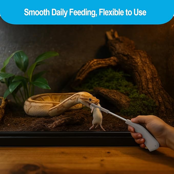 Snake Feeding Tongs, 16 Inch Reptile Feeding Tongs, Ball Python Accessories, Extra Long Large Tweezers for Boa, Kingsnake, Hognose Snake, Corn Snake, Terrarium Supplies for Snake