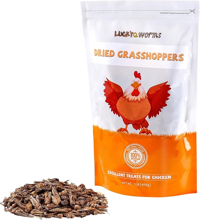 Freeze Dried Grasshoppers - High Protein Reptile & Bird Food, 1lb Resealable Bag for Bearded Dragons, Lizards, Hedgehogs | Natural, No Additives
