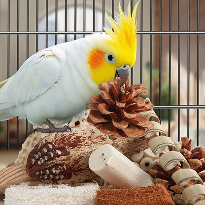 Kyouki Bird Toys Parrot Toys Natural Bird Foraging Box Foot for Parakeets,Cockatiels,Conures,Love Birds,and Other Small to Medium Birds (Medium)