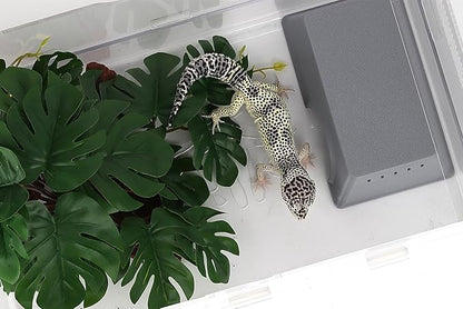 Snake Hide, Leopard Gecko Tank Accessories for Reptile Ball Python Crested Gecko Lizard Bearded Dragon - GrayHideM