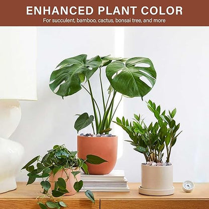 NUPICK 12 lbs Pebbles for Indoor Plants, 3/8 Inch Pea Gravel for Fish Tank, Decorative Rocks for Succulent, Natural River Stones for Vases, Cactus, Landscaping, Bird Bath, Aquarium, Mixed