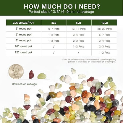 NUPICK 6 lbs Pebbles for Indoor Plants, 3/8 Inch Pea Gravel for Fish Tank, Polished Decorative Rocks for Succulent, Natural River Stones for Vases, Cactus, Landscaping, Bird Bath, Aquarium, Colorful