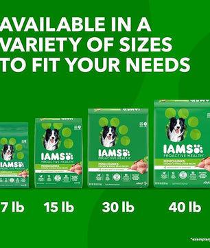 IAMS Proactive Health Minichunks Adult Dry Dog Food with Real Chicken, 3.3 lb. Bag