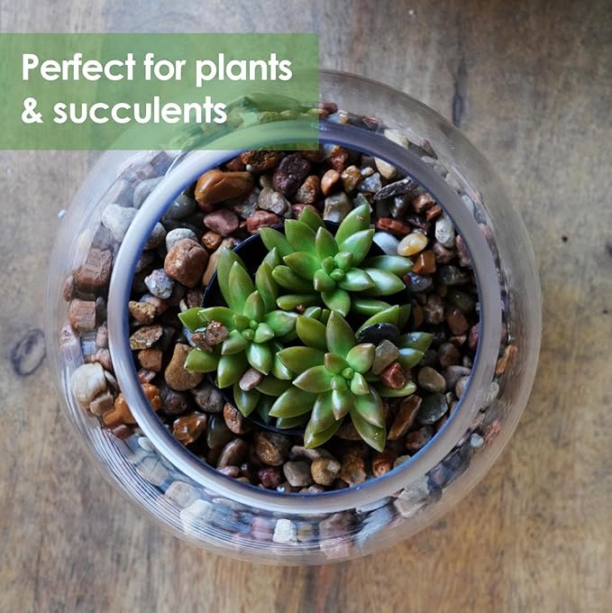 Craft And Party, Glass Bubble Vase, 8" Height x 10" Width Glass Fish Bowl, Bubble Bowl for Terrarium, Flower Centerpiece