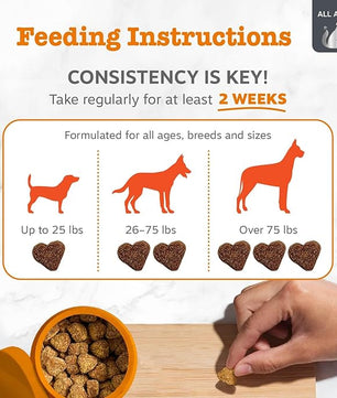 Zesty Paws Vet Strength Dog Allergy Relief Chews, Dog Probiotics for Itchy Skin and Ears, Smoked Cheese, 90ct