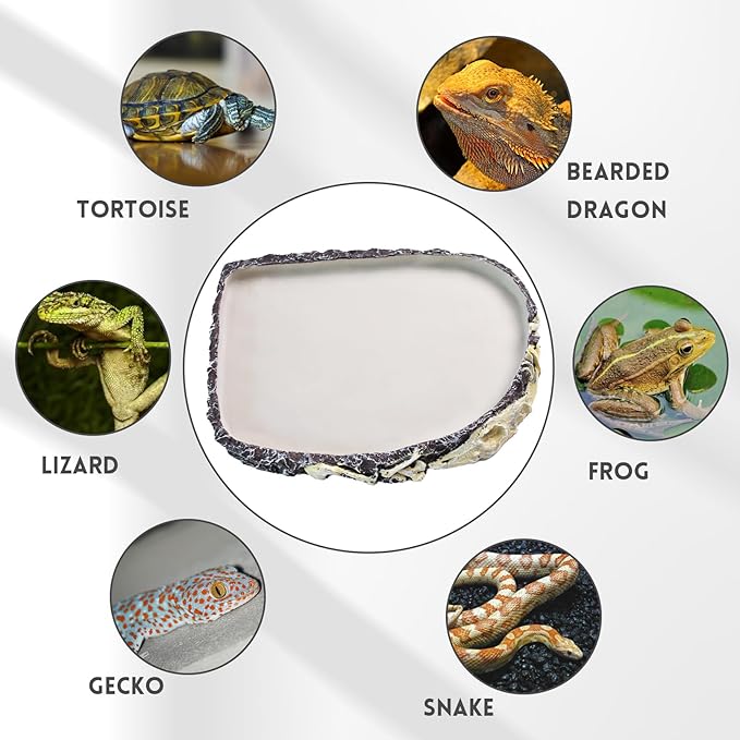 Reptile Water Food Bowl Resin Rock,Flat Tortoise Water Feeding Plate Bowl Reptile Habitat Terrarium Enclosure Tank Accessories for Turtle Bearded Dragon Lizard Gecko Chameleon